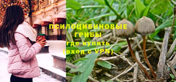 дживик Михайлов