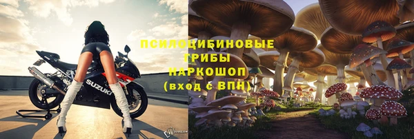дживик Михайлов