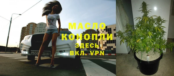 дживик Михайлов