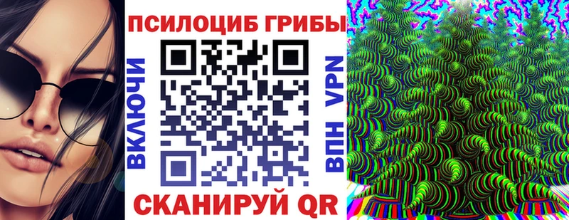 Псилоцибиновые грибы MAGIC MUSHROOMS  гидра вход  Пойковский 